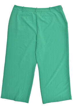 Lane Bryant Women's Size 24 Regular Green Wide Leg Cropped Culotte Dress Pants